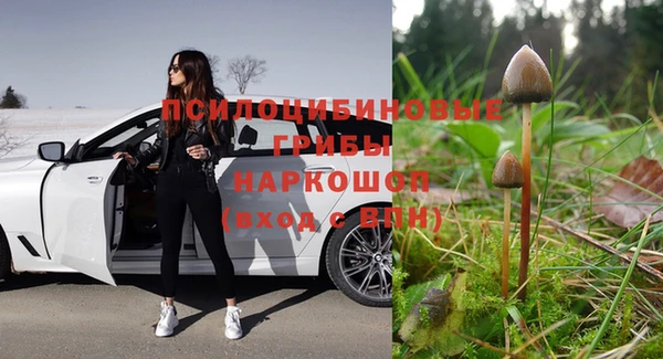 не бодяженный Белокуриха