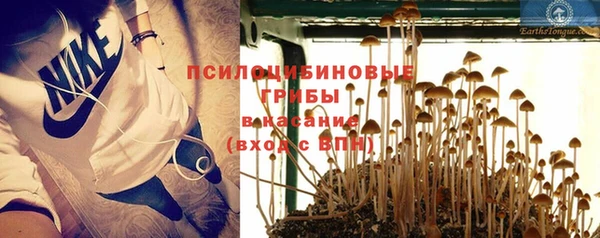 не бодяженный Белокуриха